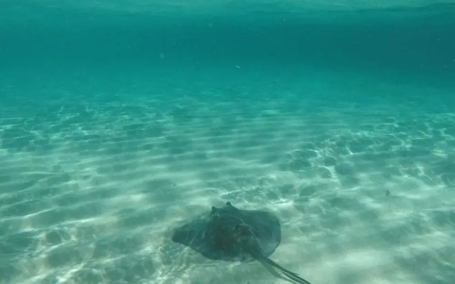 Curacion Beach Resort