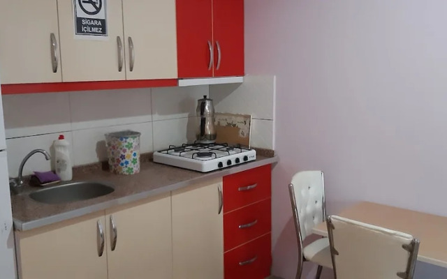 Di̇ri̇li̇ş Banarya Pansi̇yon