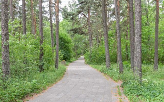 Studija VANAGUPĖS 13