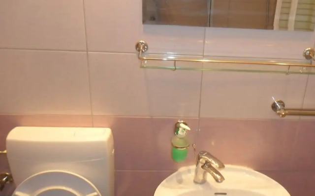 Apartment Iadera Central