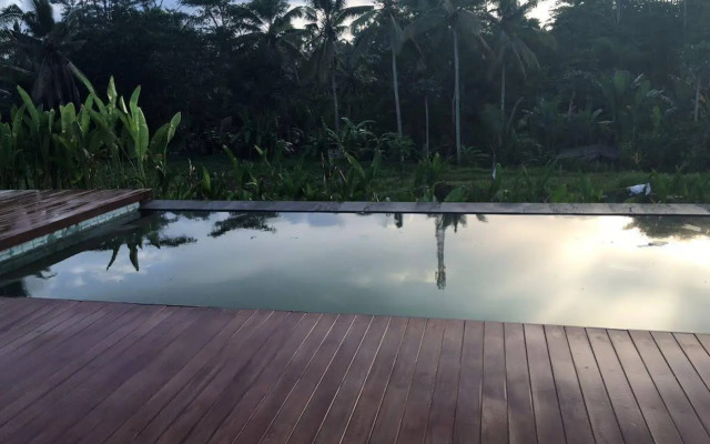 Villa Tegal Tis Ubud