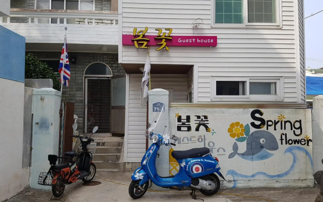 Springflower Guesthouse - Hostel
