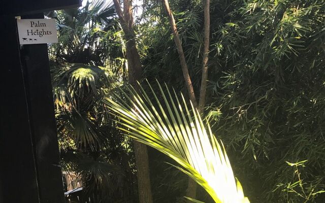 Palm Heights