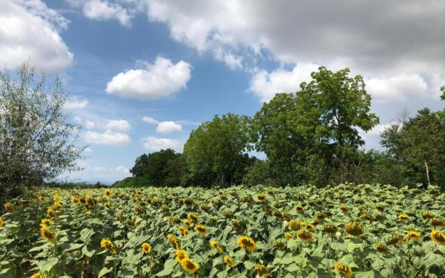 Agriturismo La Renaia