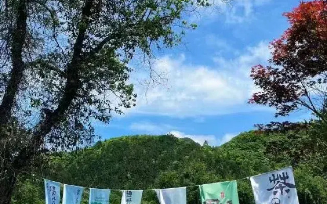 Selenium-themed Inn In West Huangshan City