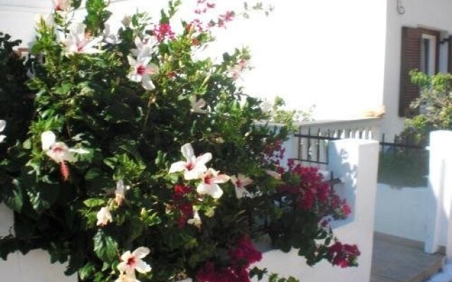 Aparthotel 3 Stars Andros
