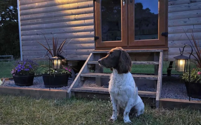 Woodend Hideaway Hamsterley - Sleeps 2 & Garden