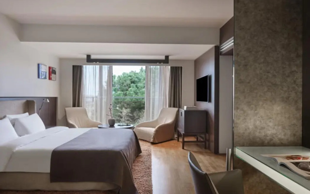 Hotel Nikopolis