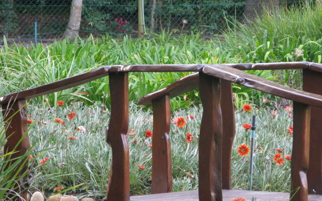 Pumula Lodge 4 Star B&B Knysna