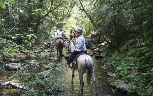 Mountain Equestrian Trails
