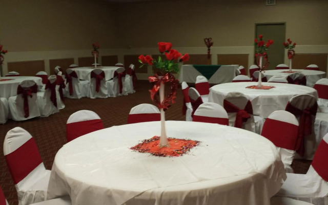 Romana Hotel