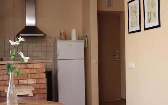 Comfort Flat With Terrace in The Central Part