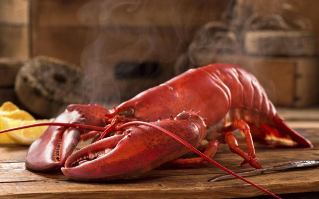 Beauport Hotel Gloucester