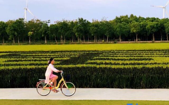 Shanghal 0xygen land Resort Villa