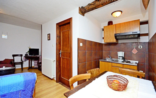 Apartment Srblin