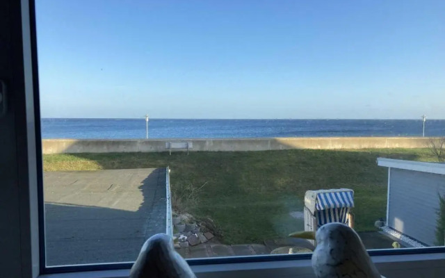 Hagelstein IV "Feuerstein"