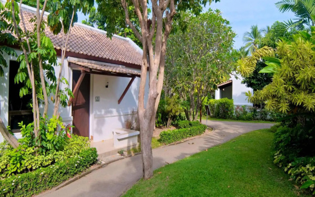 Samui Palm Beach Lead by Celes Samui