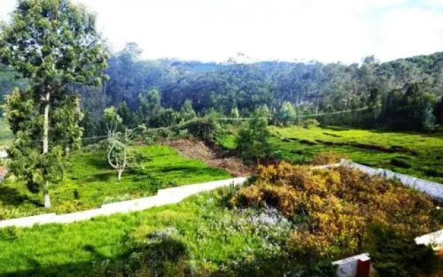 Tea leaf home stay
