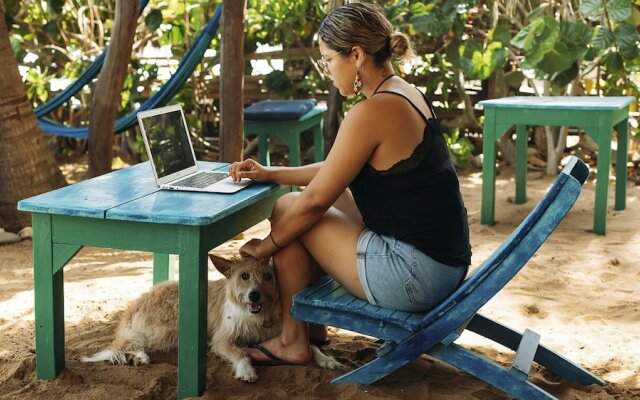 BAMBU Ecocabanas