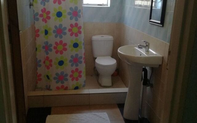 Queens Lodge And Backpackers DEN