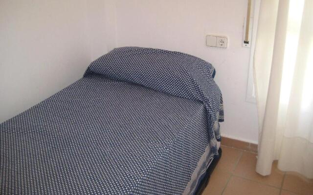 At011 Palmeres
