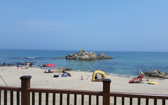 Caddis Pension