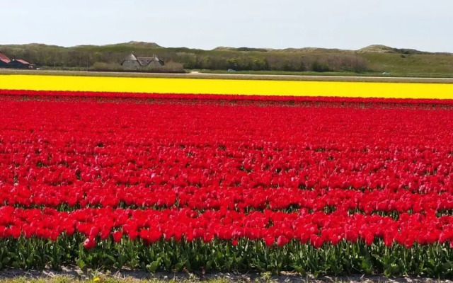 Villa Seewind Comfortable Holiday Residence