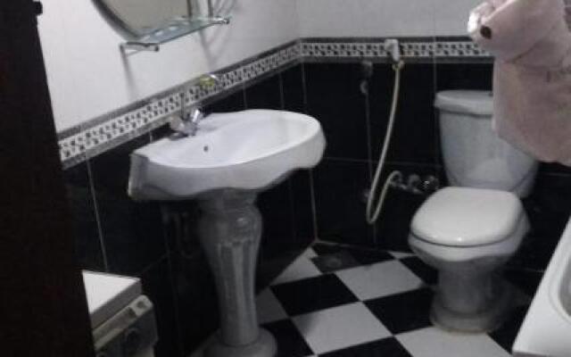 Fully furnished luxurious apartment in the center of new cairo