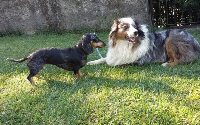 B&B Cascina San Martino