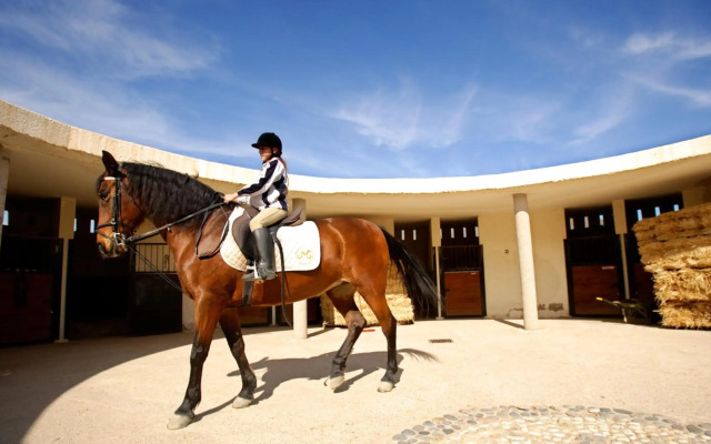 Hotel Cortijo el Sotillo