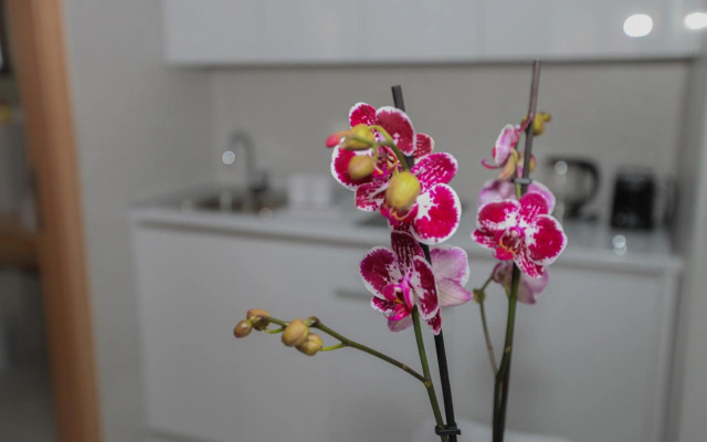 Luxury Apartments Taša