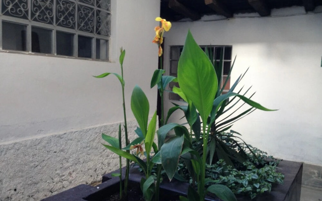 Chacha International - Hostel