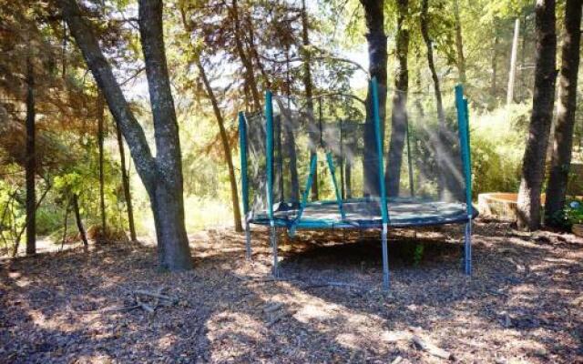 Cabañas lo de Victoria