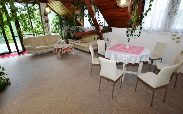 Villa in Bechyne With Private Pool and Sauna