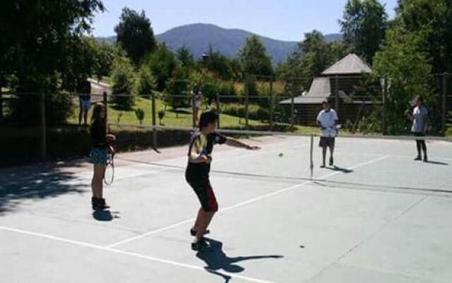 Cabañas Costa Caburgua