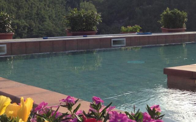 Tenuta dei Cavalieri