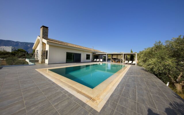 Tramonto di Olive Gorgeous Villa by Villarentalsgr