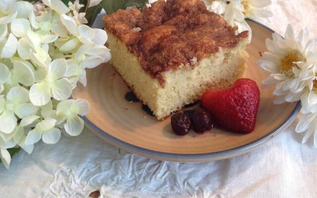 Bryn Meadow Farm and B&B