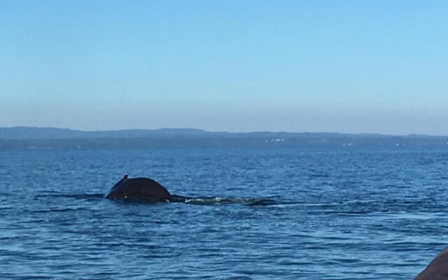 Maison De La Vieille Cote