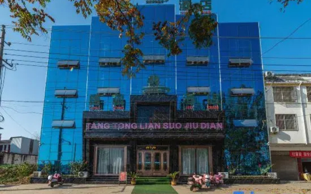 Tangtong Hotel Chain (Biyang Branch)