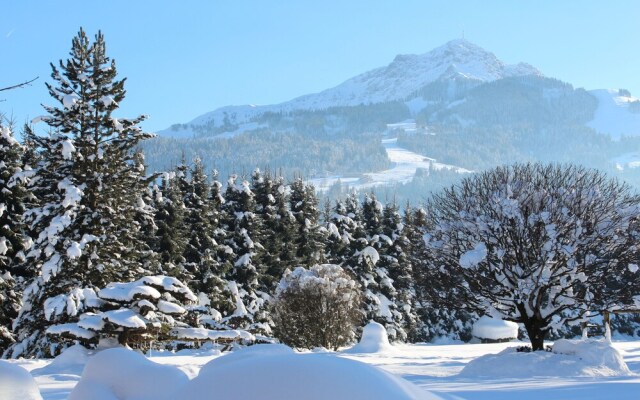 Luxury Apartment Schoenbichl