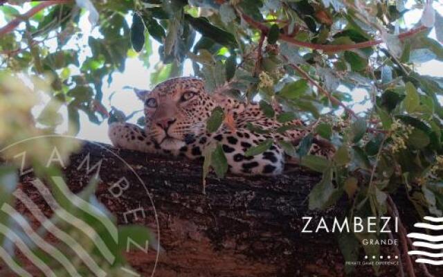 Zambezi Grande Private Game Experience - All Inclusive