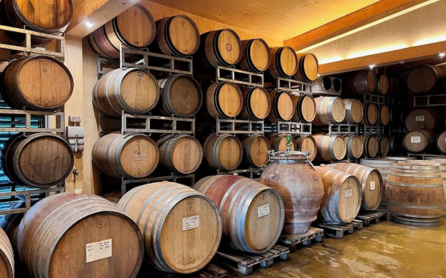 Valdonica Winery - Chill in Nature Lodge