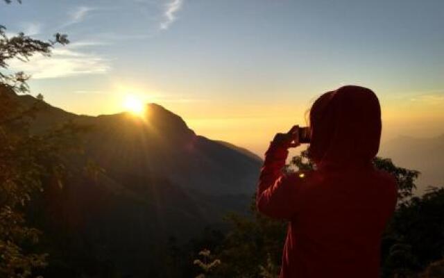 Munnar Adventures