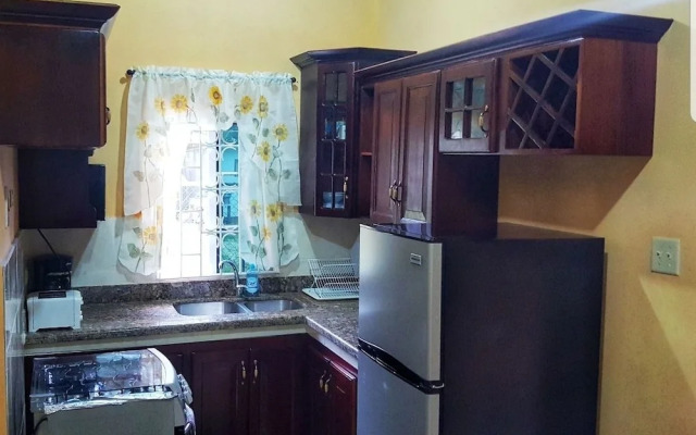 I Heart JA Me Lo Dio Dios Ocho Rios