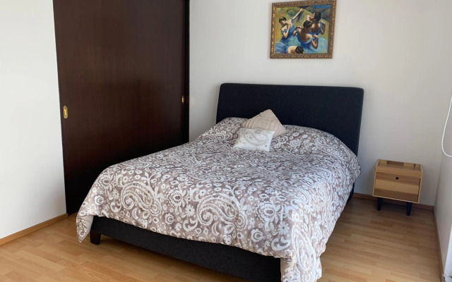 Rooftop Penthouse Lamartine Polanco