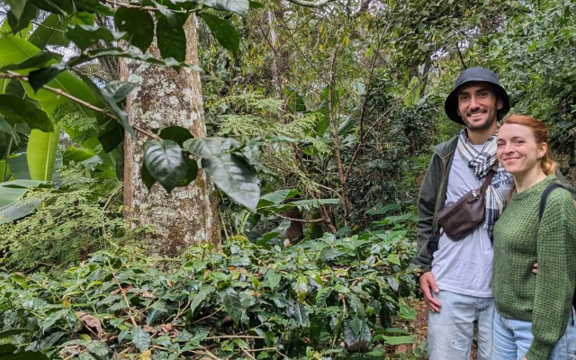 Two bedroom apartment, with balcony