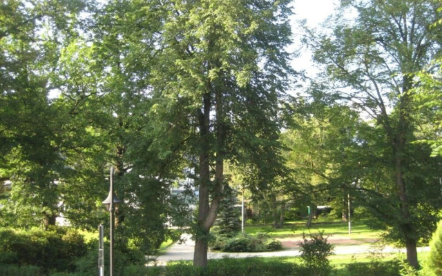 Stylish Apartment in Sohl With Terrace