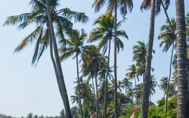Fairfield by Marriott Goa Calangute