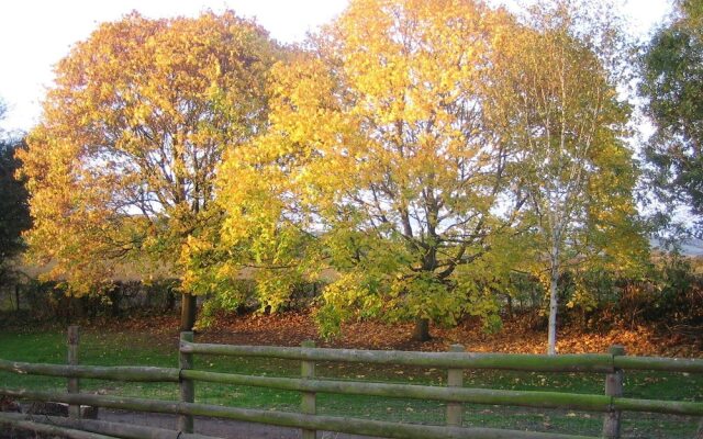 Lowe Farm - Bed & Breakfast Leominster